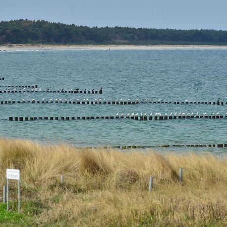 Ferienwohnung Traumstrand Glowe Esterno foto