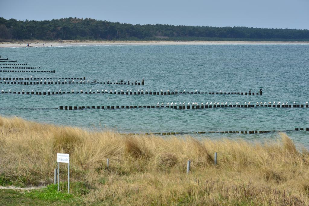 Ferienwohnung Traumstrand Glowe Esterno foto